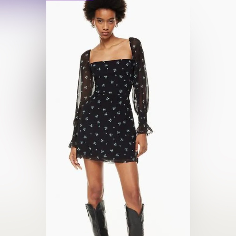 Aritzia Wilfred tempest soled chiffon mini dress
